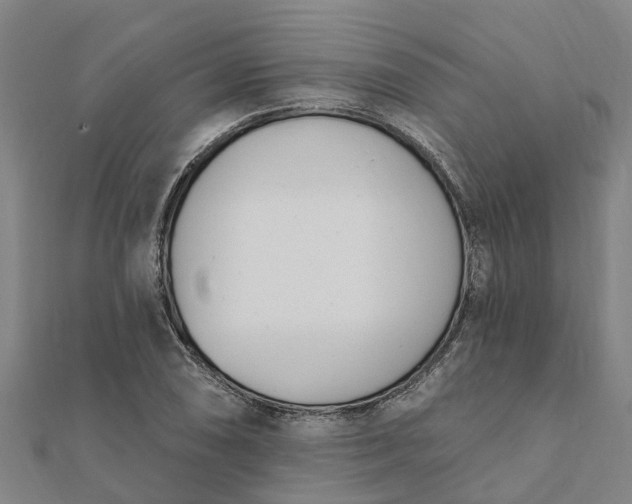 X0000112081074200908181237