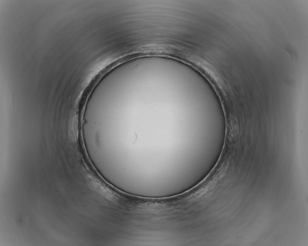 X0000112081075200908181237