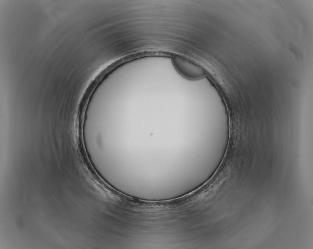 X0000112081076200908181237