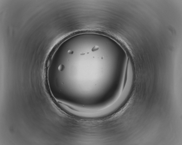 X0000112081077200908181237