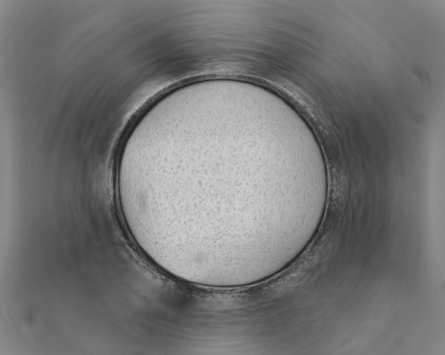 X0000112081078200908181237