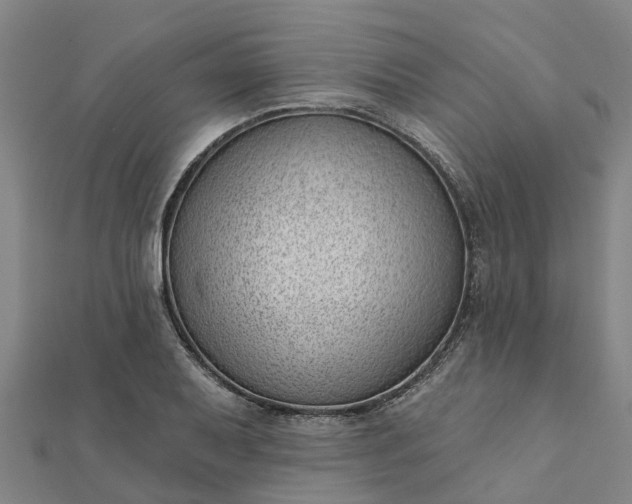 X0000112081079200908181236