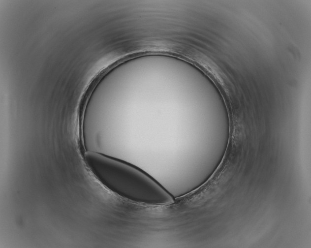 X0000112081080200908181236