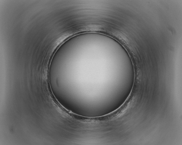 X0000112081081200908181236