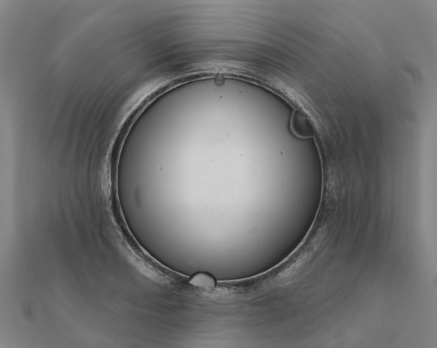 X0000112081082200908181236