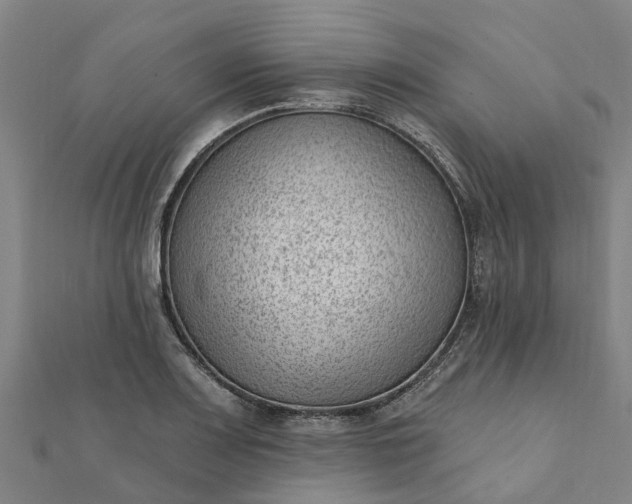 X0000112081083200908181236