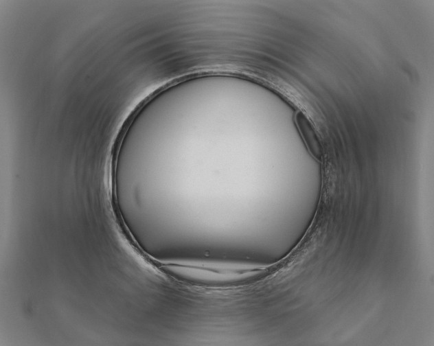 X0000112081084200908181236