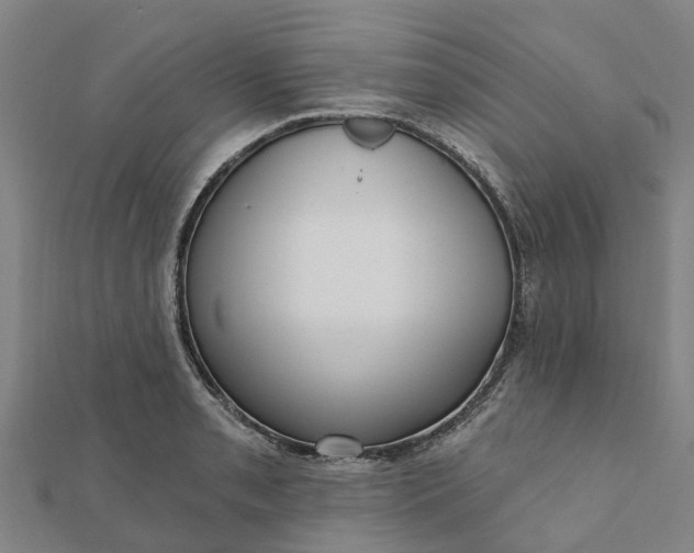 X0000112081085200908181236