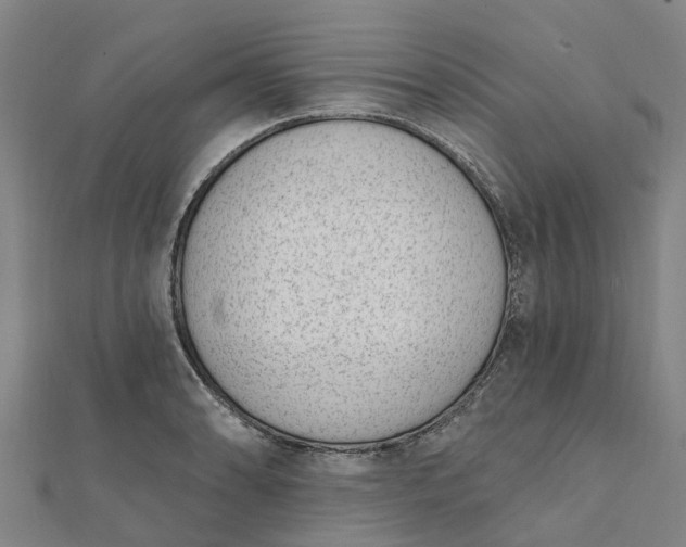 X0000112081086200908181236