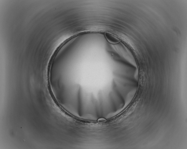 X0000112081087200908181236