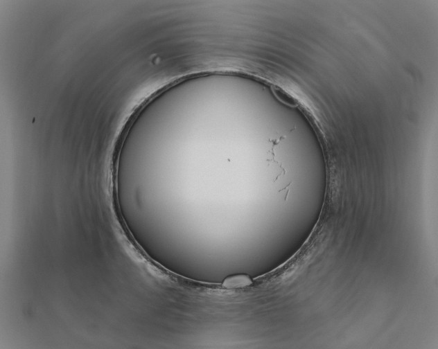 X0000112081088200908181236