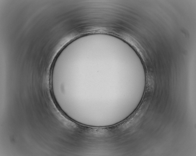 X0000112081090200908181236