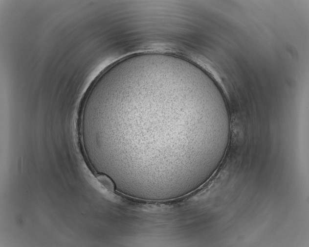 X0000112081091200908181236