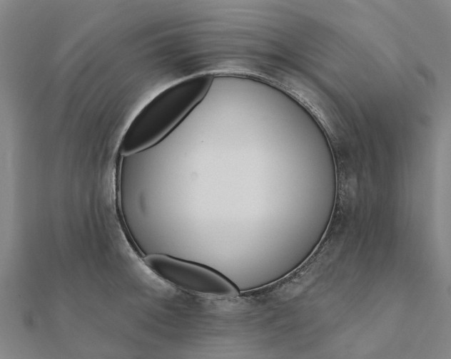 X0000112081092200908181236