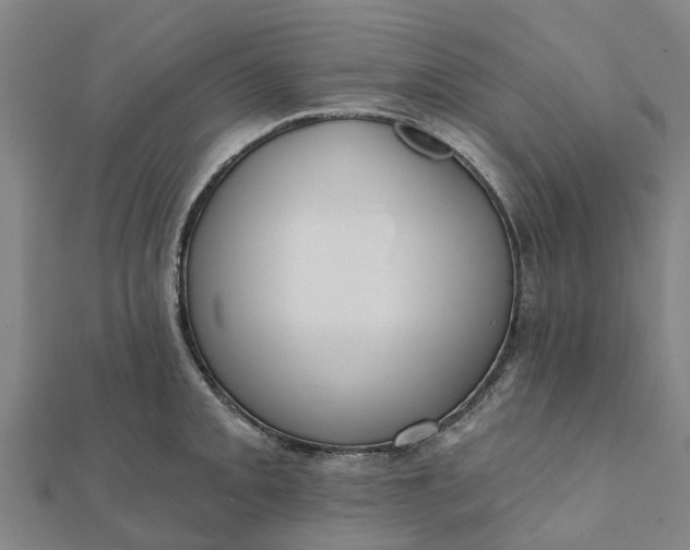 X0000112081093200908181236