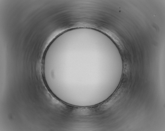 X0000112081094200908181236