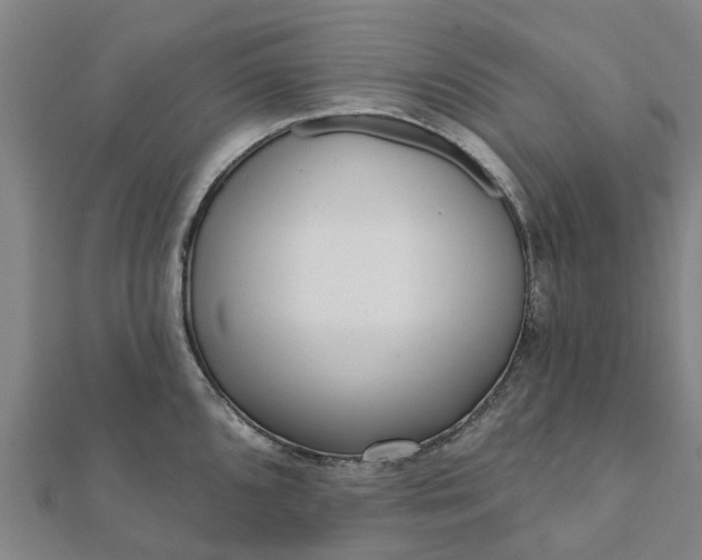 X0000112081096200908181236