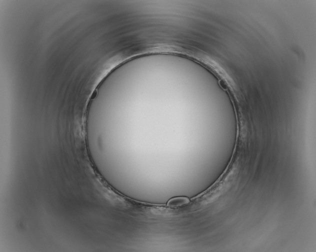 X0000112081097200908181236