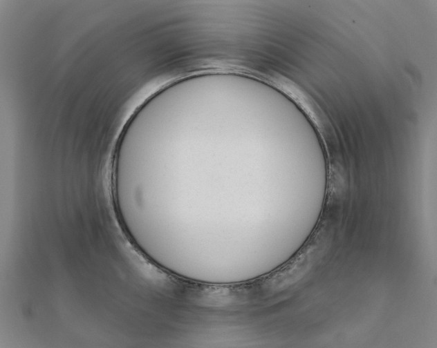 X0000112081098200908181236