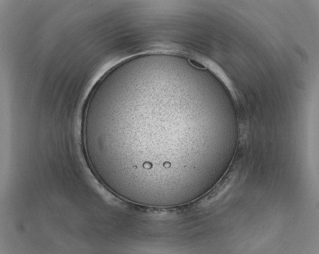 X0000112081099200908181236