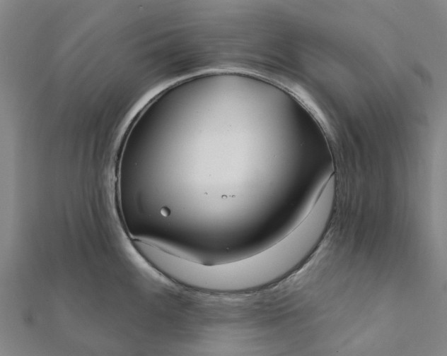 X0000112081100200908181236