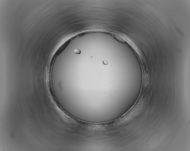 X0000112081101200908181236