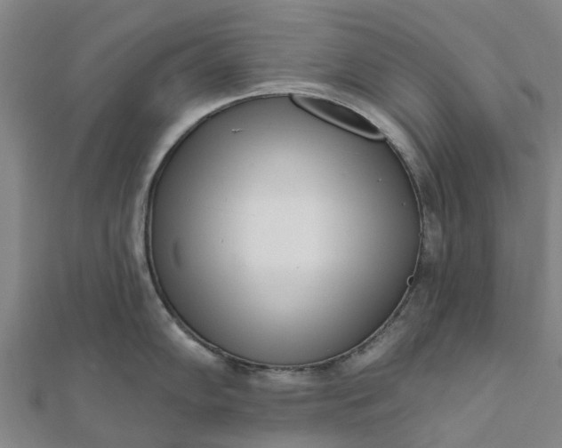 X0000112081102200908181236