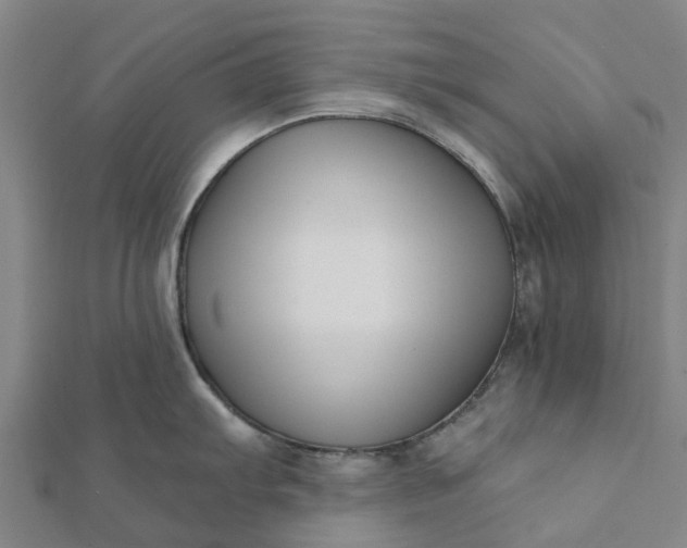 X0000112081103200908181236