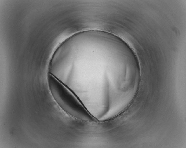 X0000112081104200908181236