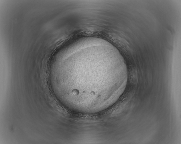 X0000112081105200908181236