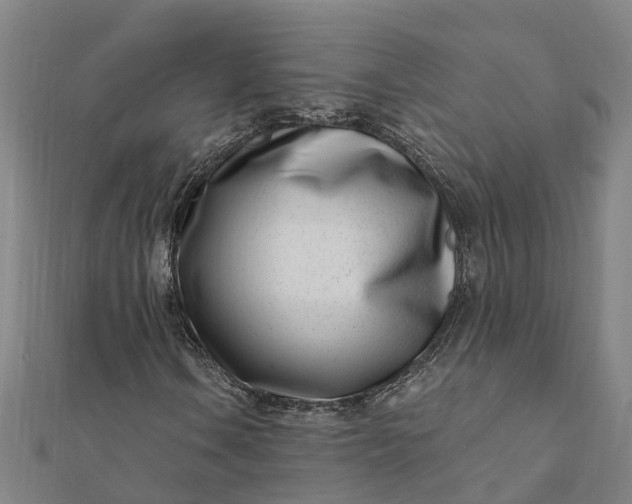 X0000112081106200908181236