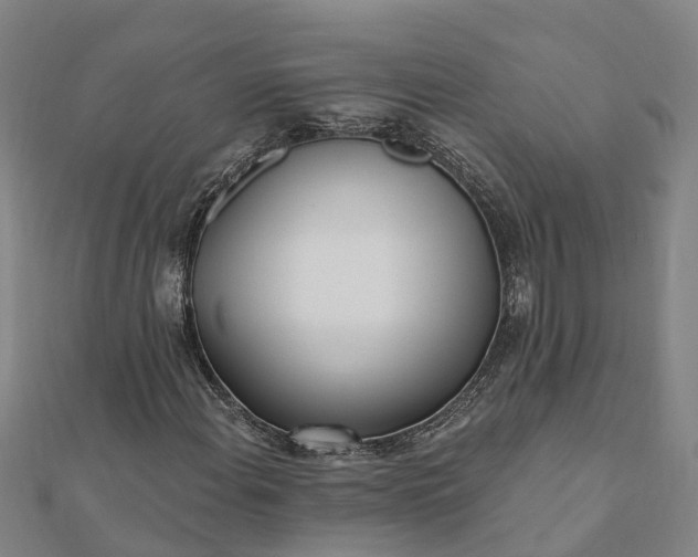 X0000112081108200908181236