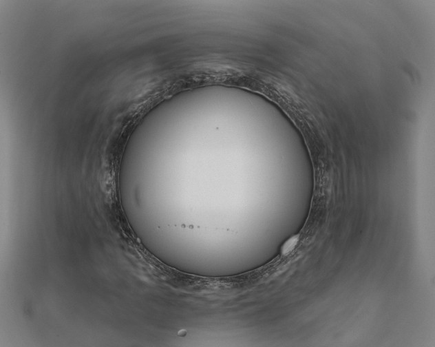 X0000112081109200908181236