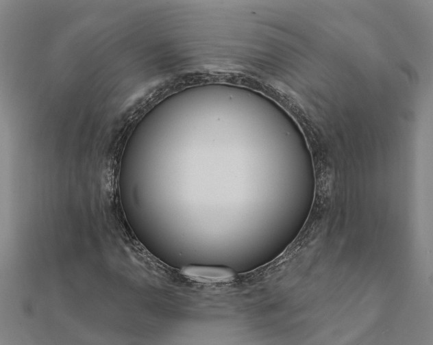 X0000112081110200908181236