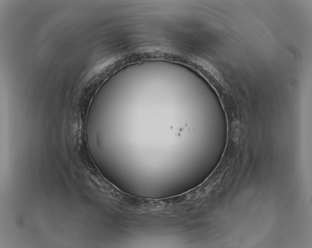 X0000112081111200908181236