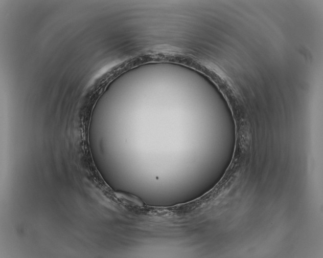 X0000112081112200908181236