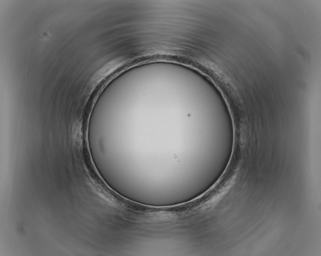 X0000112081113200908181236