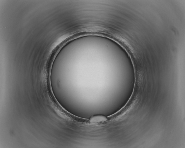 X0000112081114200908181236