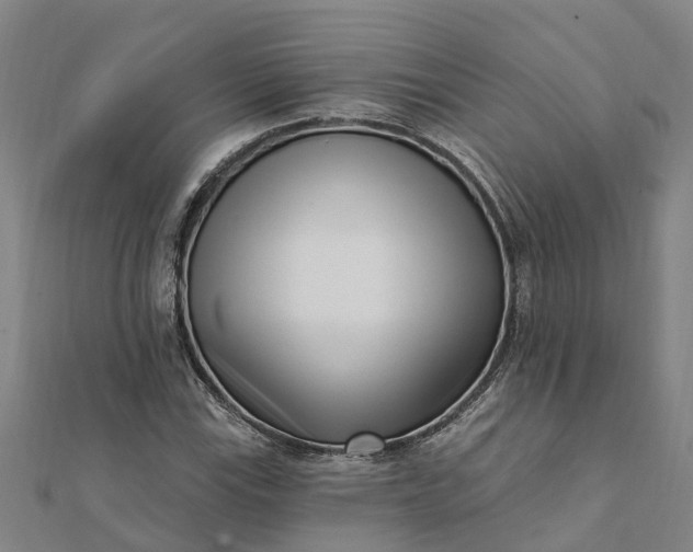 X0000112081115200908181236