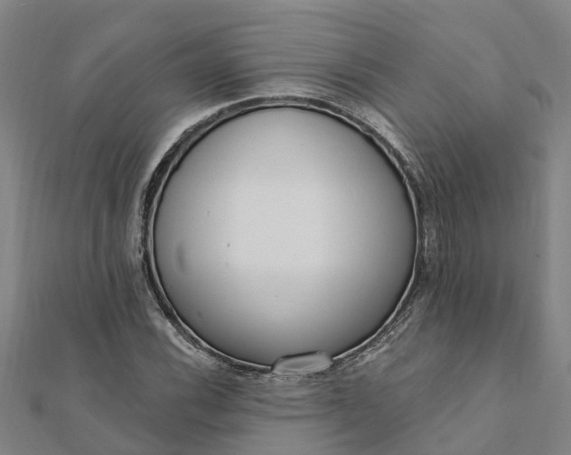 X0000112081116200908181236