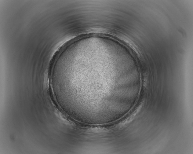 X0000112081117200908181236