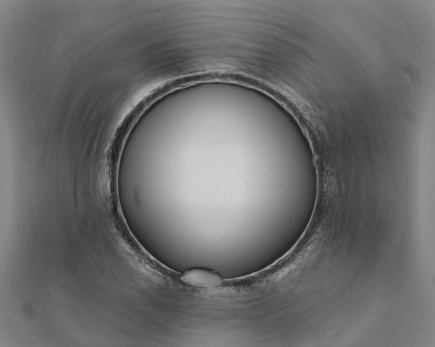 X0000112081118200908181236