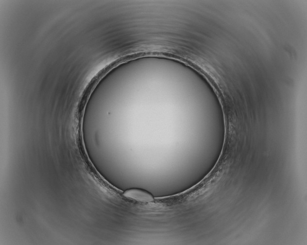 X0000112081119200908181236