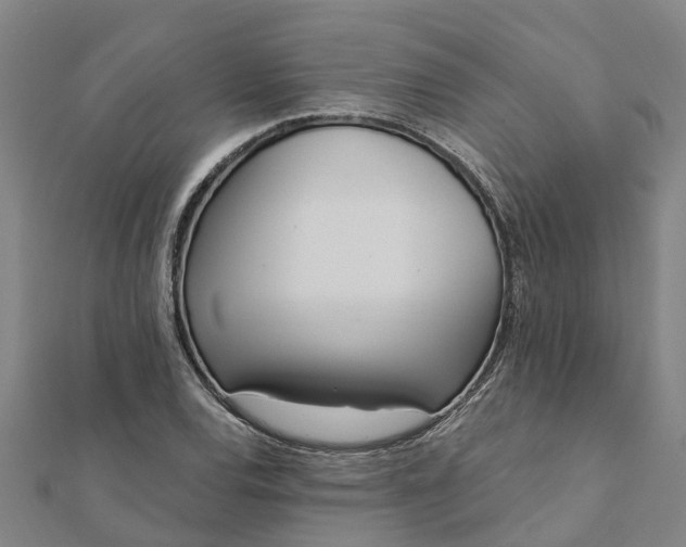 X0000112081120200908181236