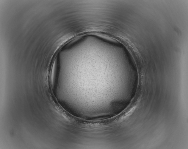 X0000112081121200908181236