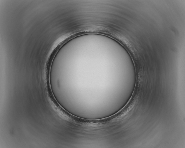 X0000112081122200908181236