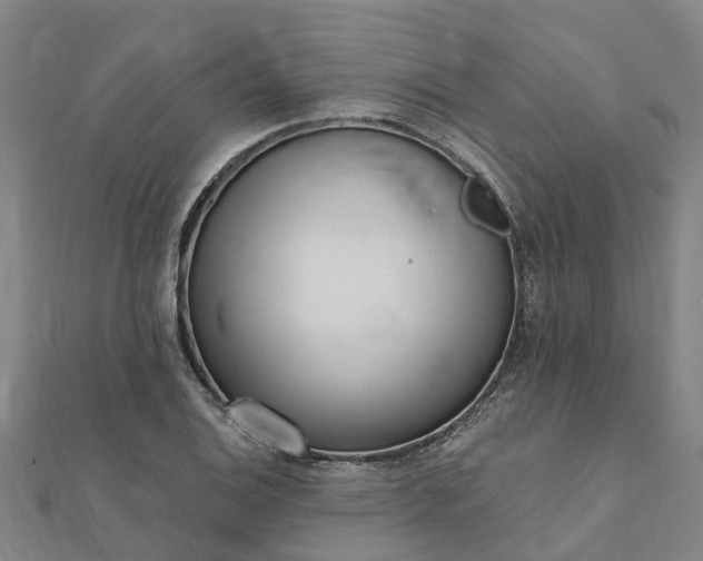 X0000112081124200908181236