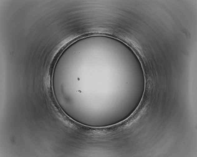 X0000112081125200908181236