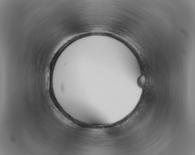 X0000112081126200908181236