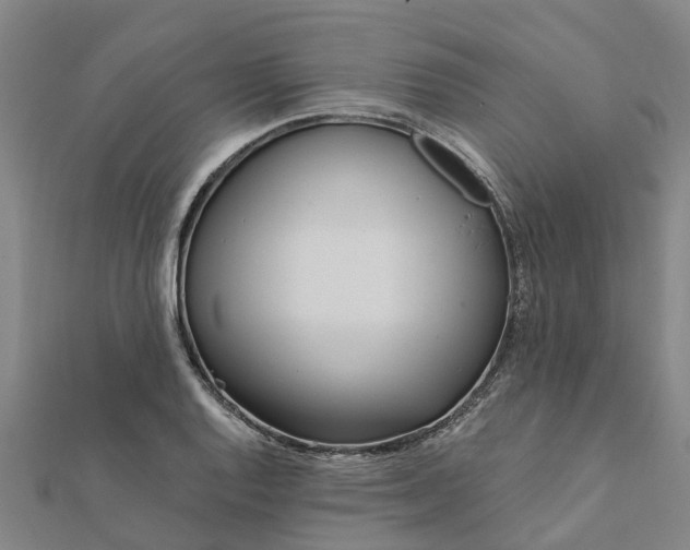 X0000112081128200908181236